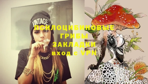 эйфоретик Баксан