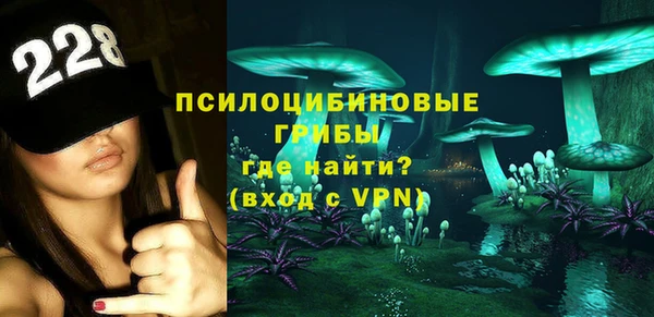 эйфоретик Баксан