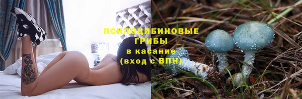 эйфоретик Баксан