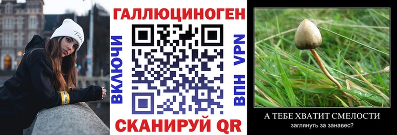 Купить  Сорочинск  Галлюциногенные грибы Cubensis 