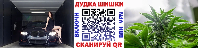 Купить  Сорочинск  Бошки марихуана семена 
